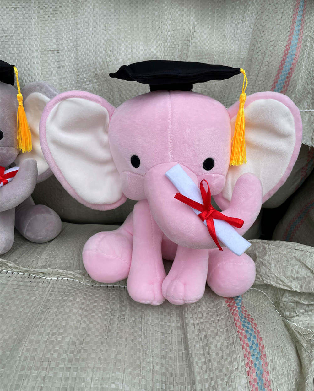 Graduation Elephant